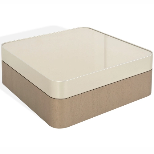 Mesa Coffee Table in Champagne & Wood Veneer